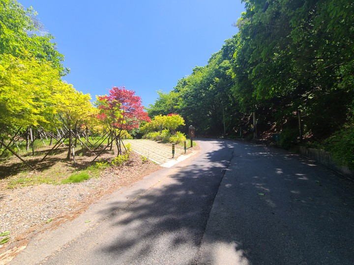 walking on the mountain road