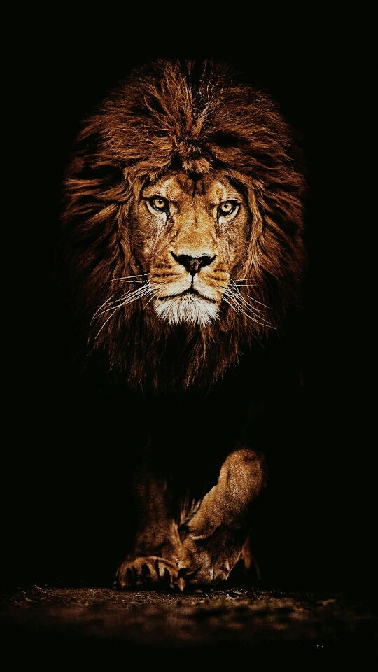 King