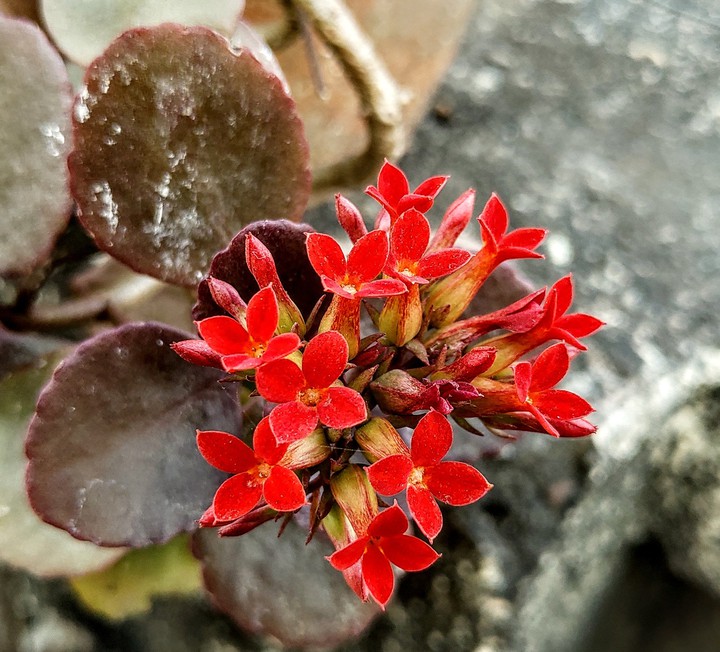 Small but pretty