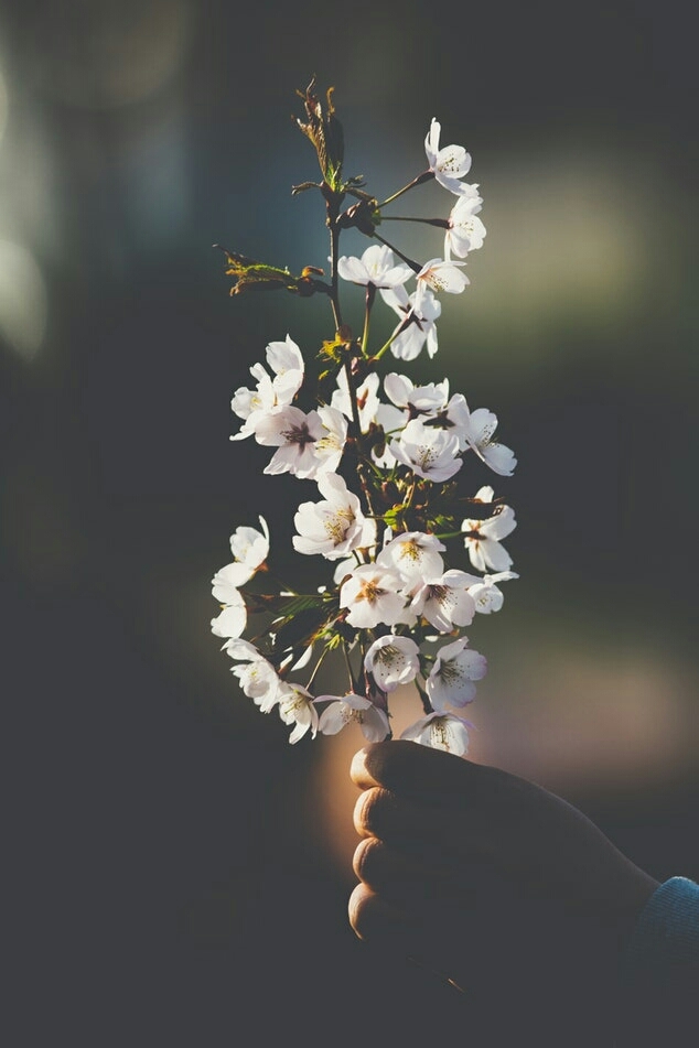 ♥☺♥