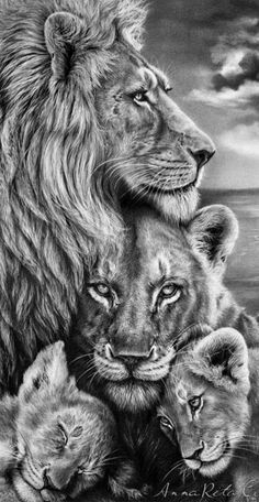 ? LION KING