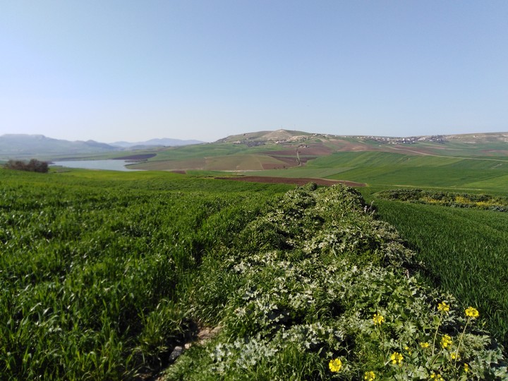 Best spring in Beja, Tunisia