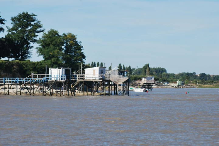 royan