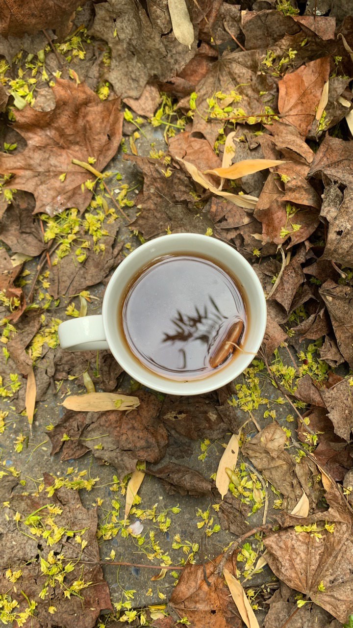 autumn tea
