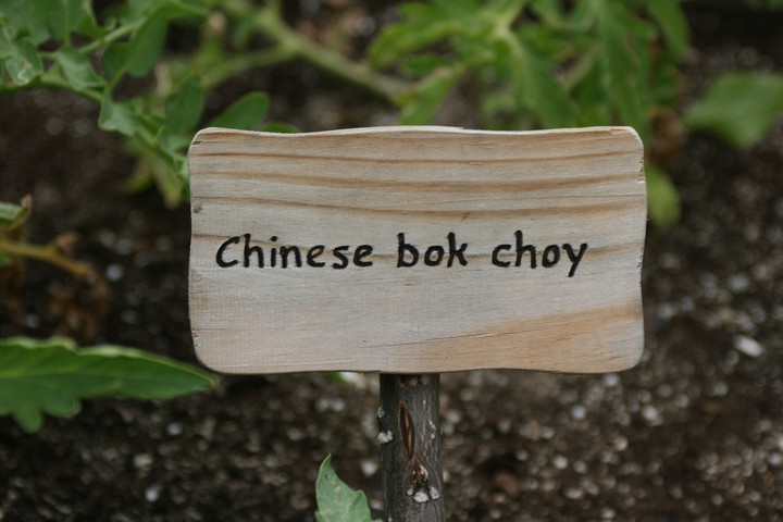 Asia