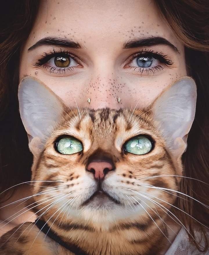 yeux vert
