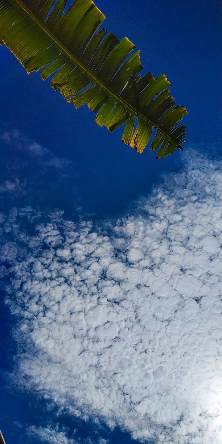 sky