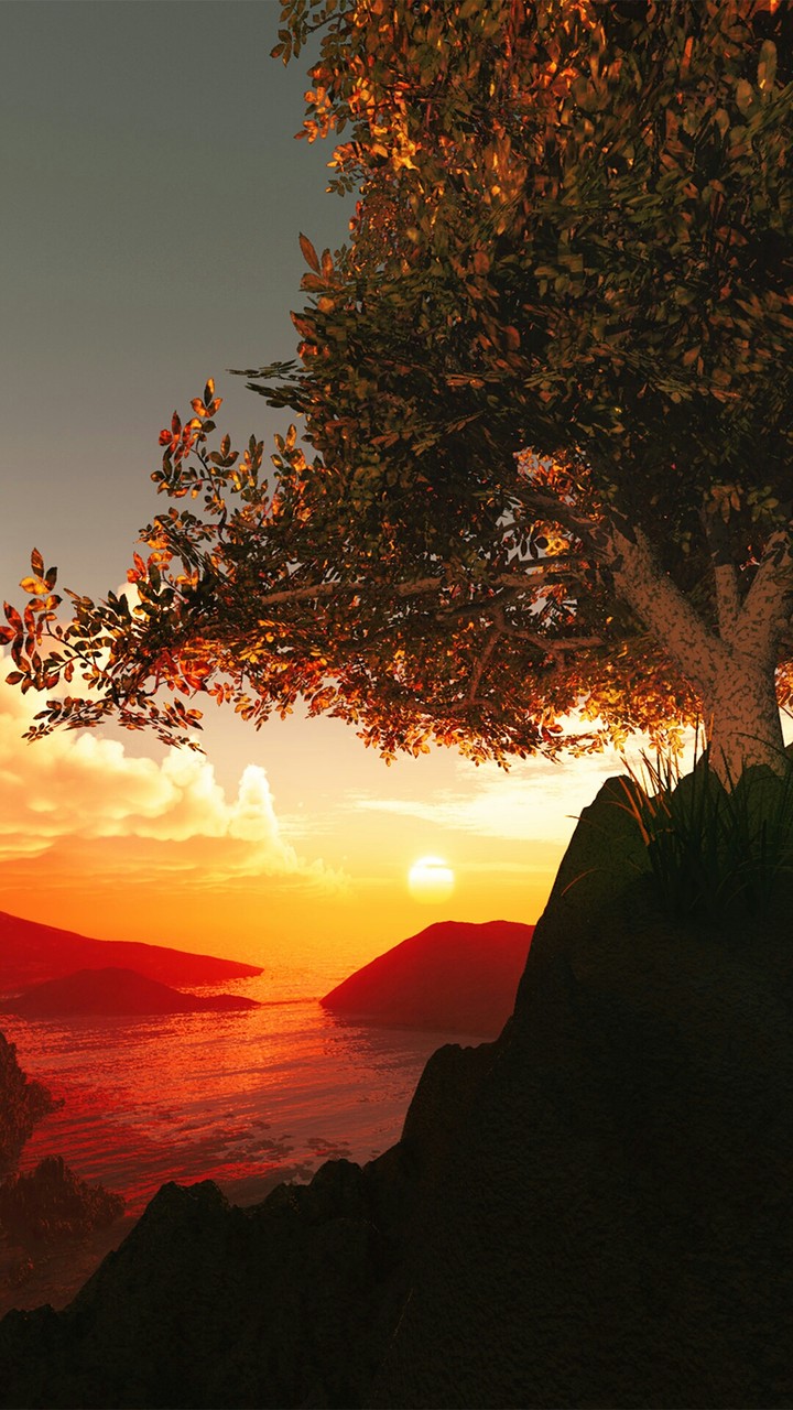 Atardecer