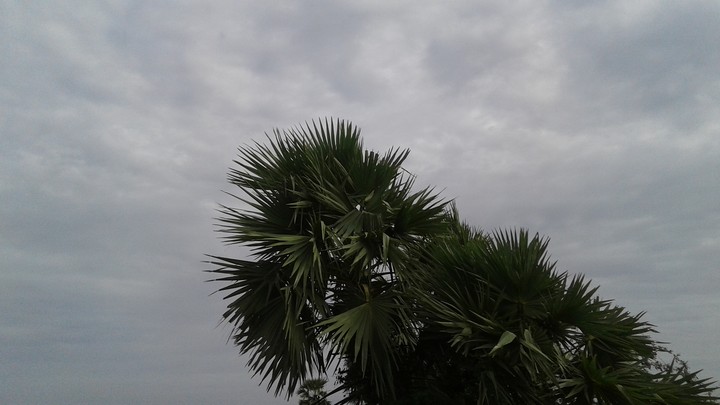 clouds