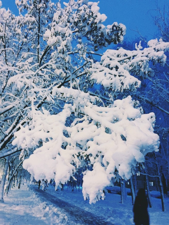 Winter in city