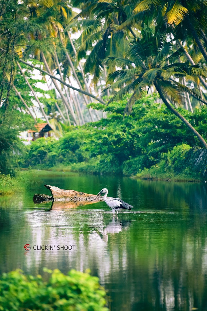 Click n shoot