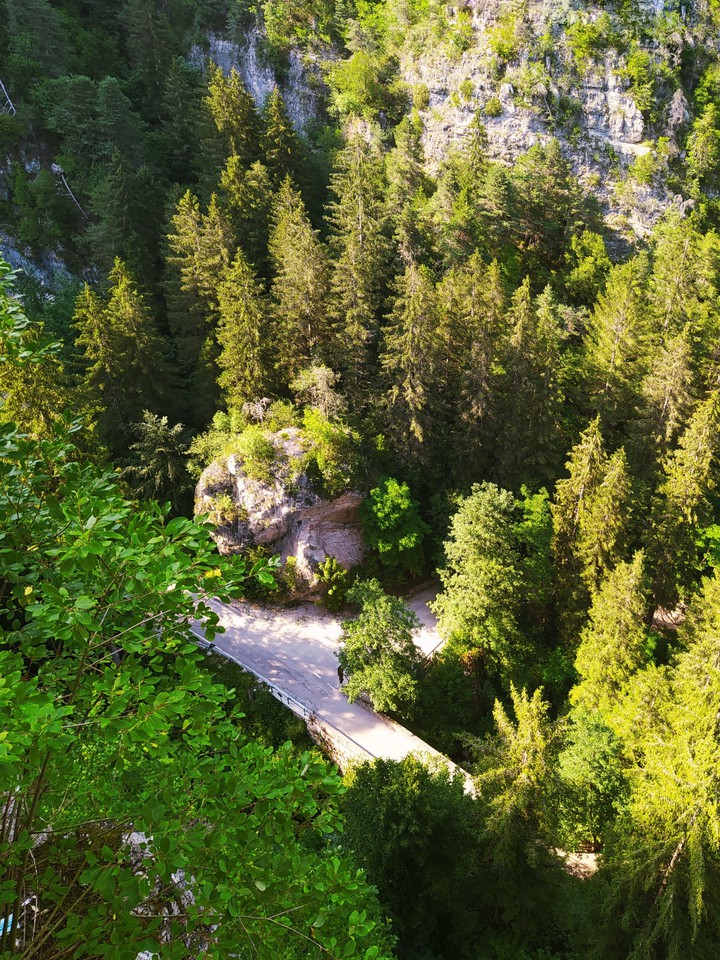 nature