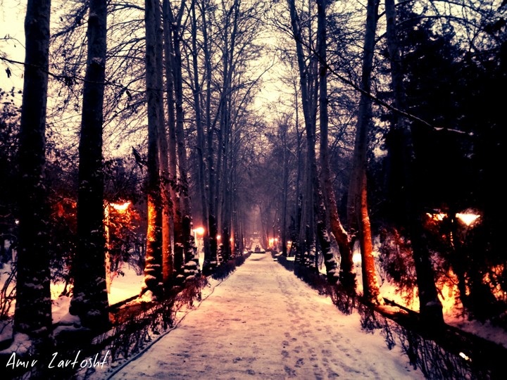 Park Jamshidieh