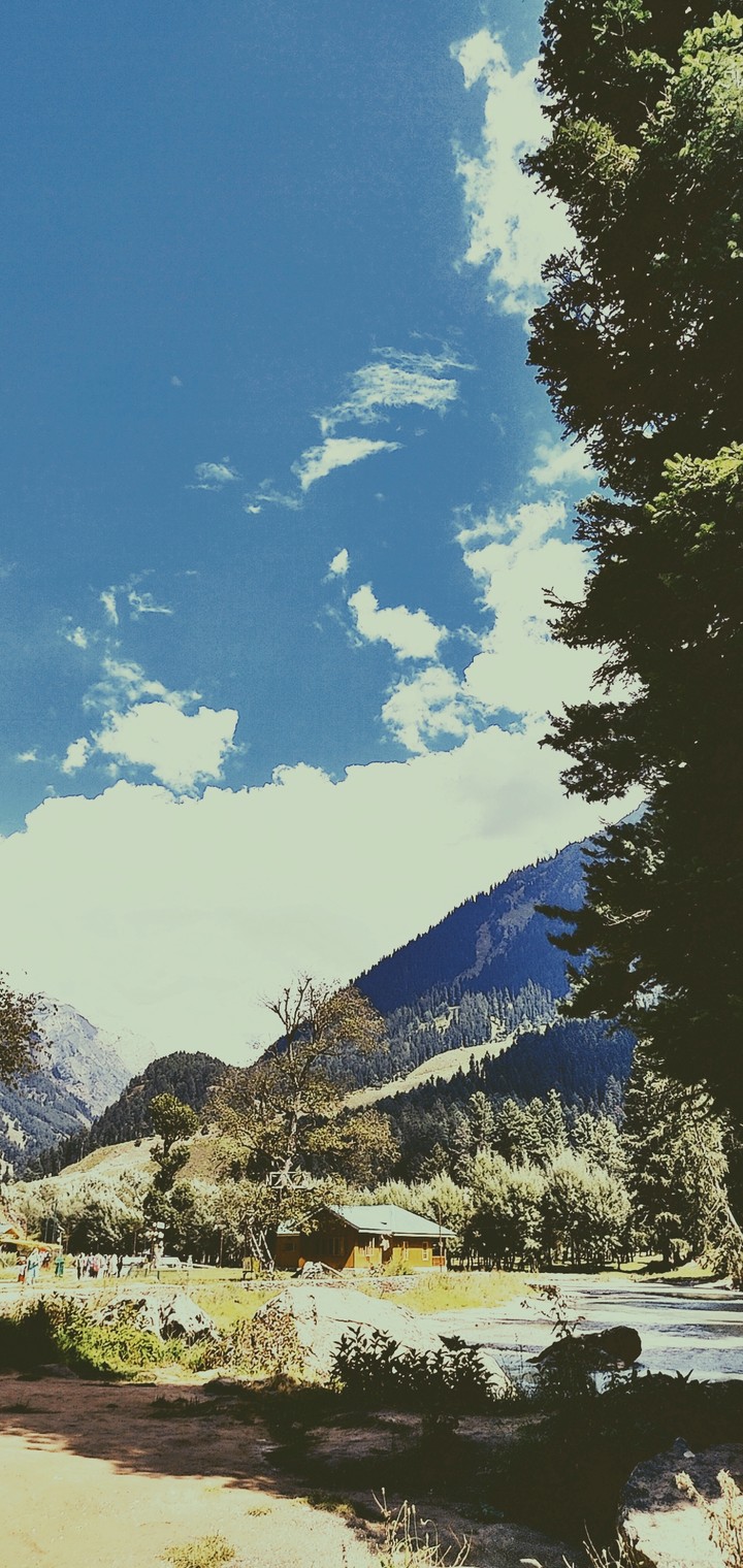 kashmir