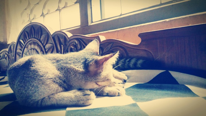 life would be dull without you....