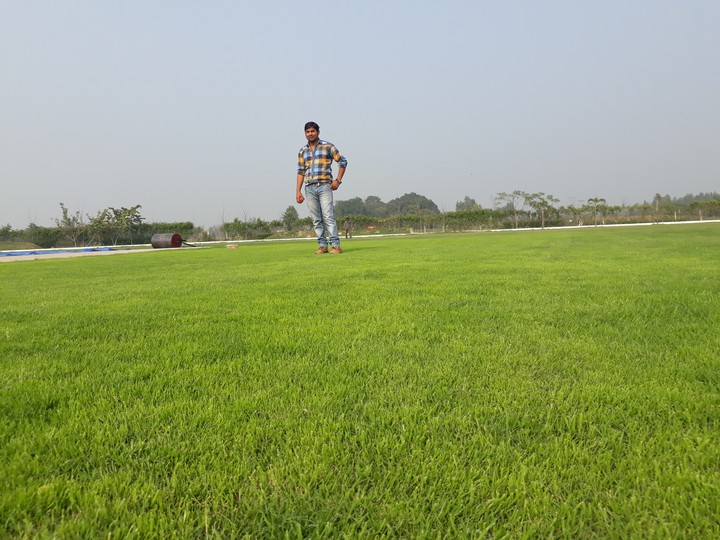 shakeel saim