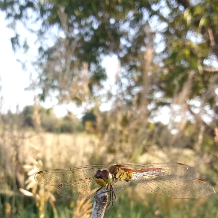 ∞