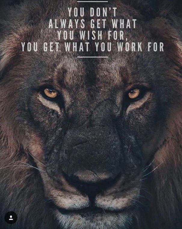 Motivation