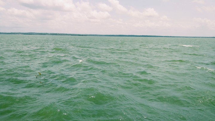 Refreshing waters