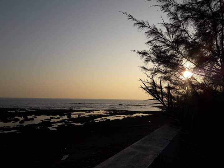 sea#beach#beachside#nature#sunset#amazing#peaceful
