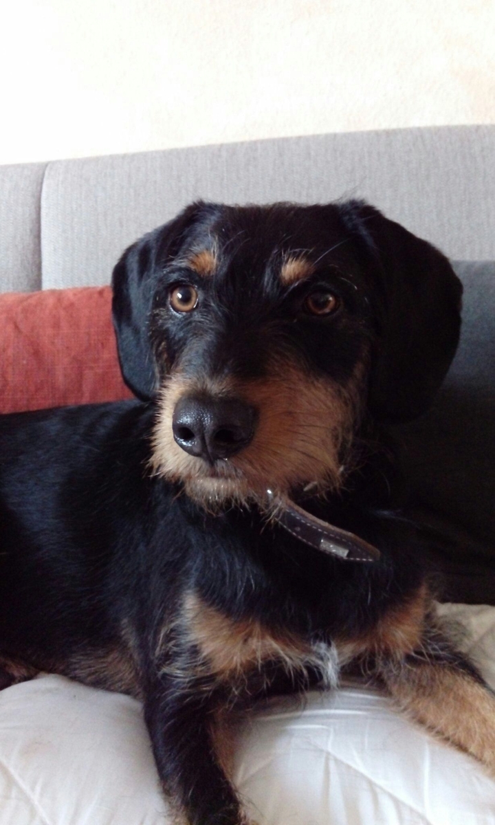 unsere Penny