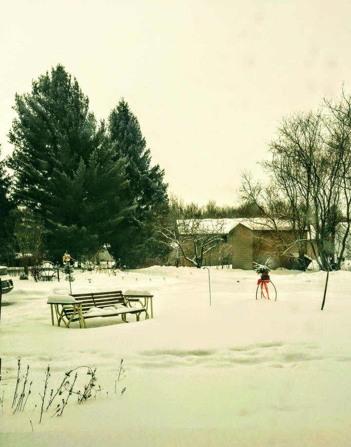 January Day