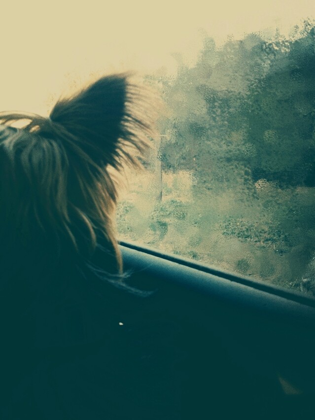 Titou