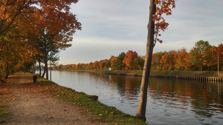 Neckar