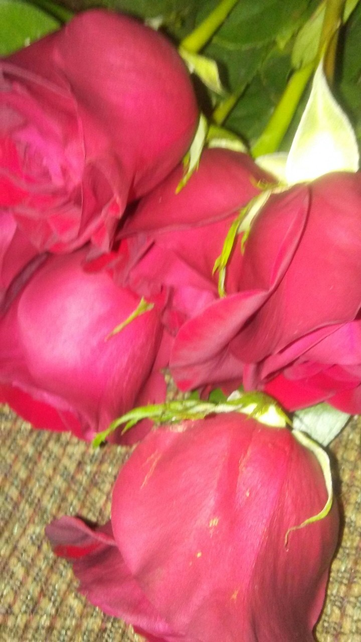 these are also for you