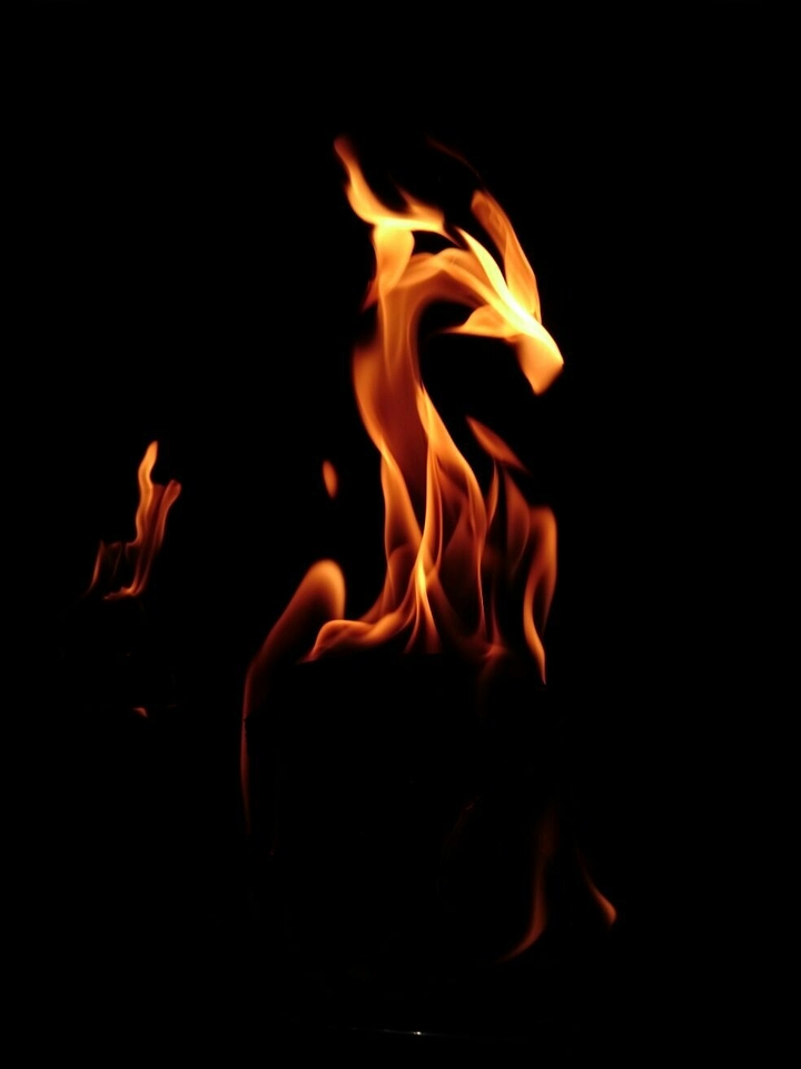 Firedragon