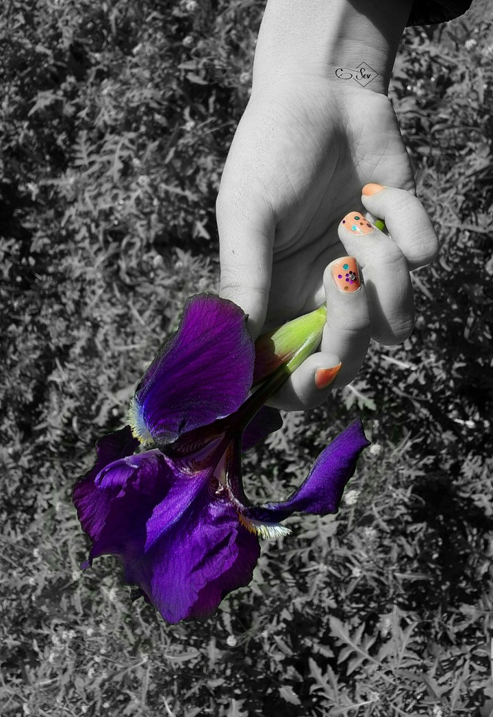 photo by me