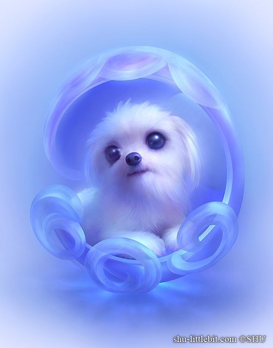 puppy