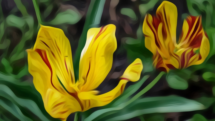 Flower
