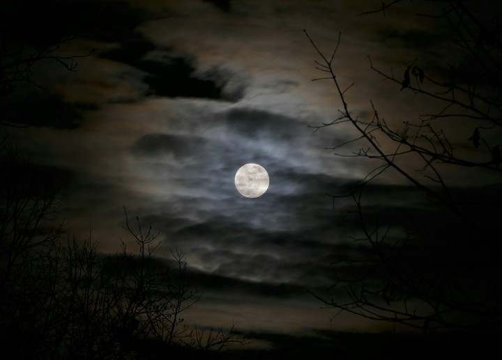 Full moon