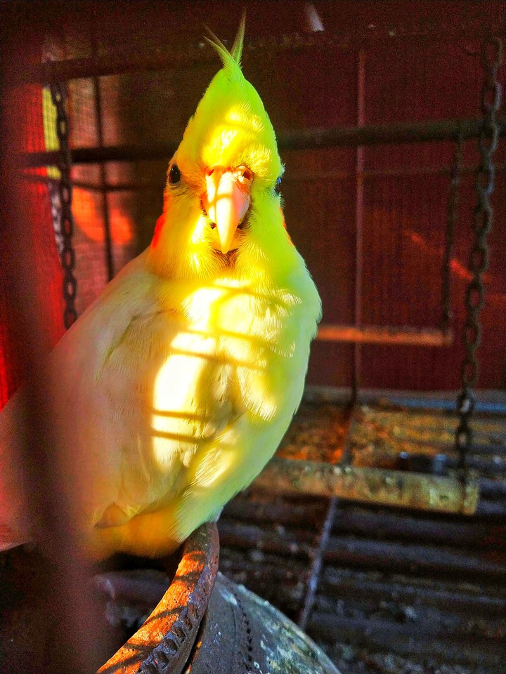 my cute baby