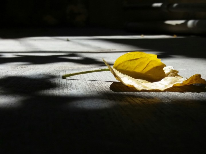 Slient Beauty