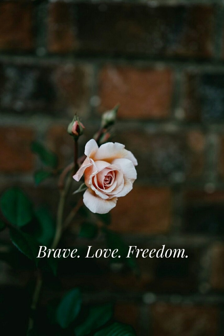 three main words in life: Brave. Love. Freedom.