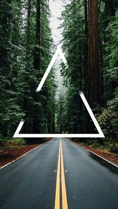 forest