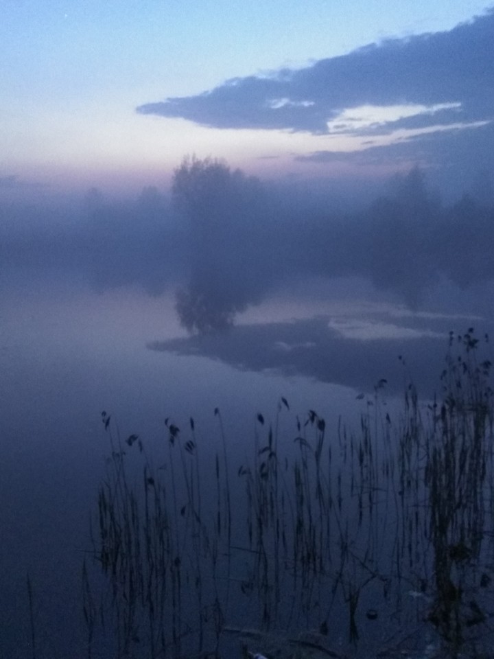 у озера