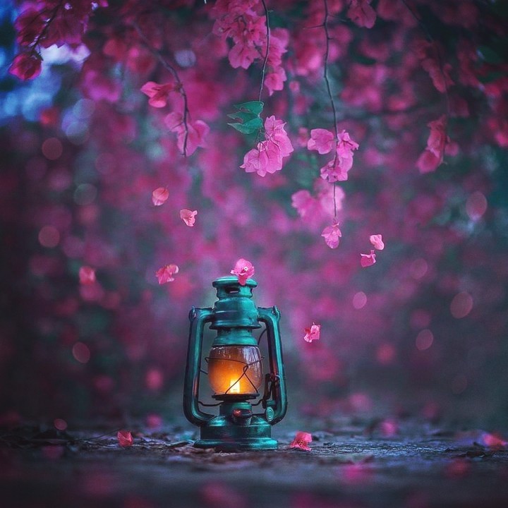Where there is light there is hope.