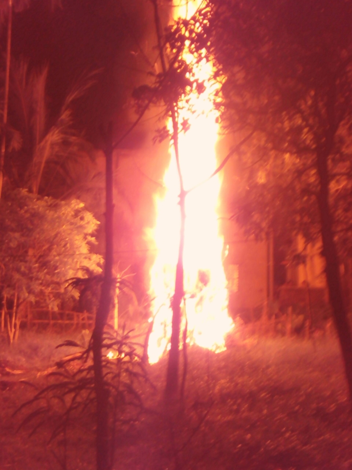 the reddish fire