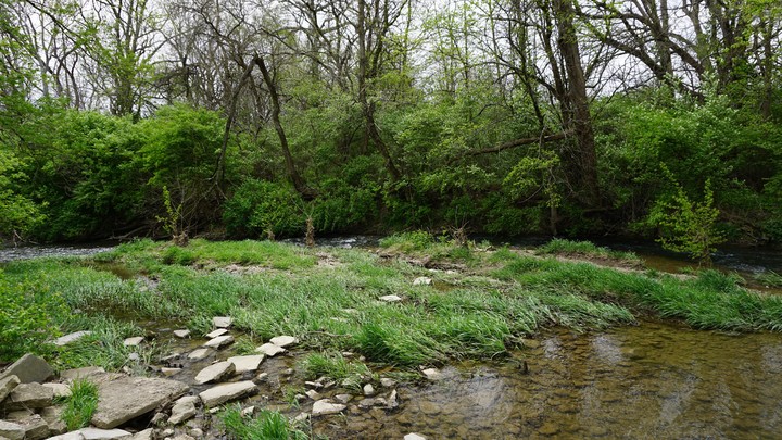 Seven Mile River
