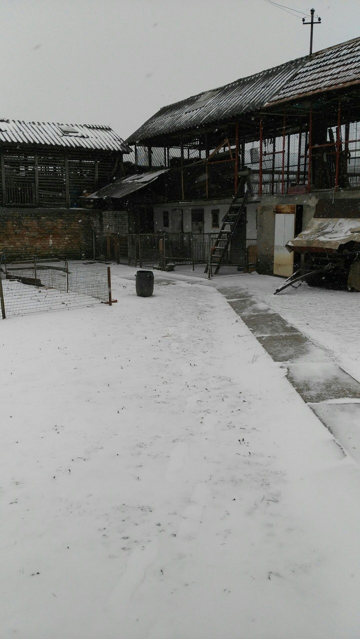 winter