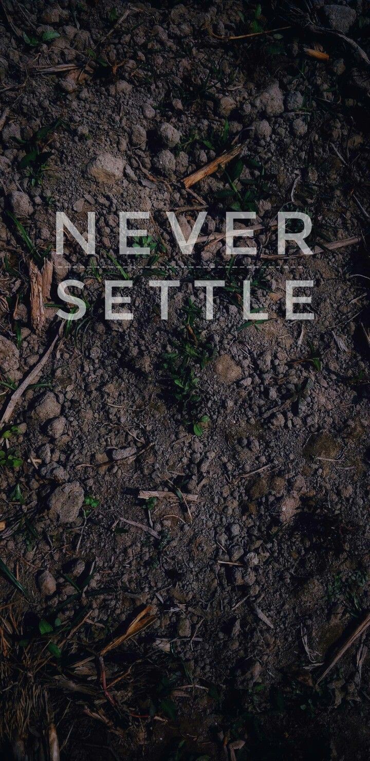 wallpaper