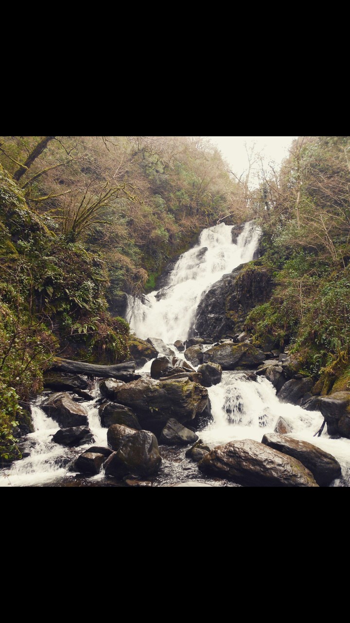 Ierland