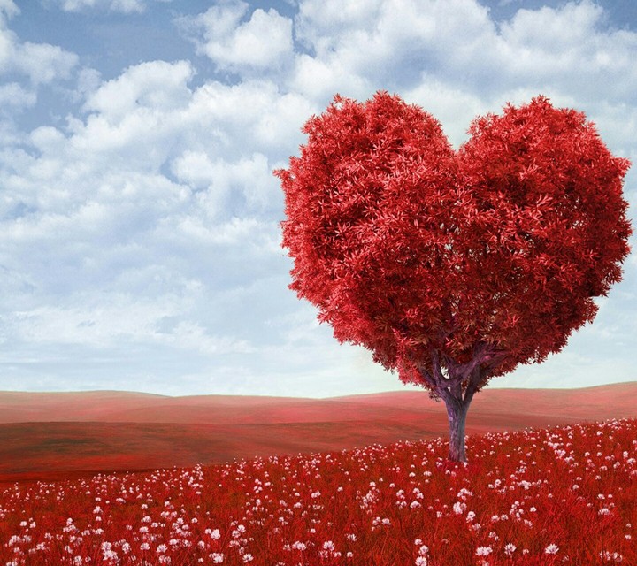 Hearts Tree