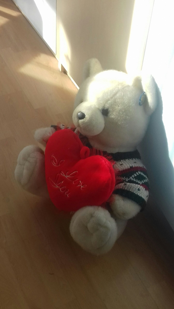 ''Bear love''