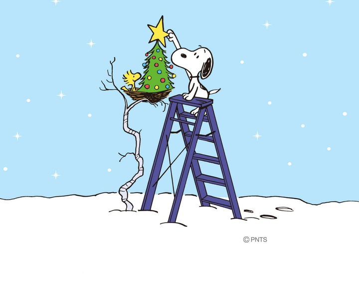 A Star for the Tree