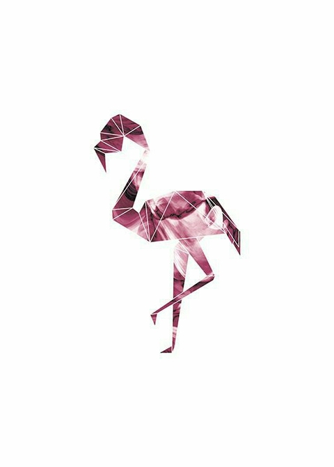 flamingo pink ❤️