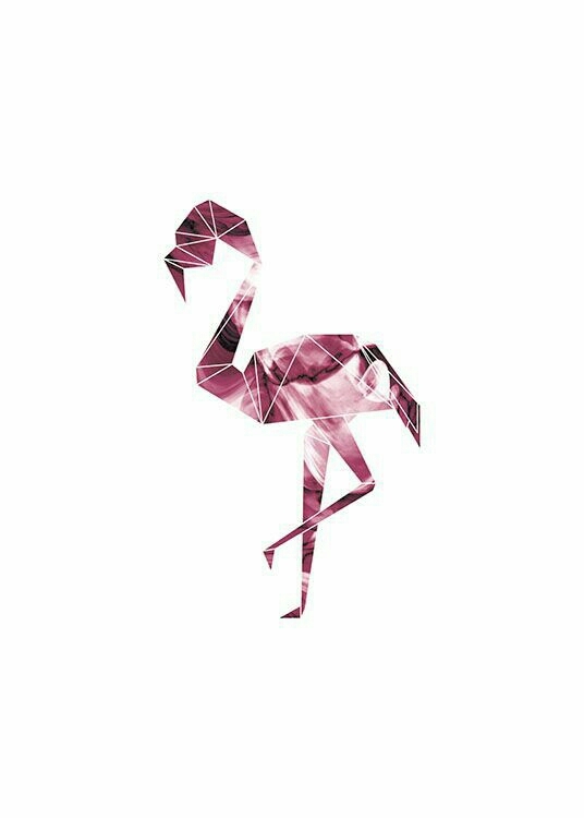 flamingo pink ❤️
